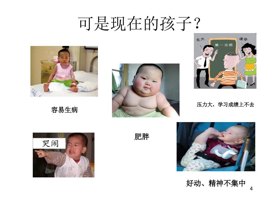 功能医学与儿童健康.ppt_第4页