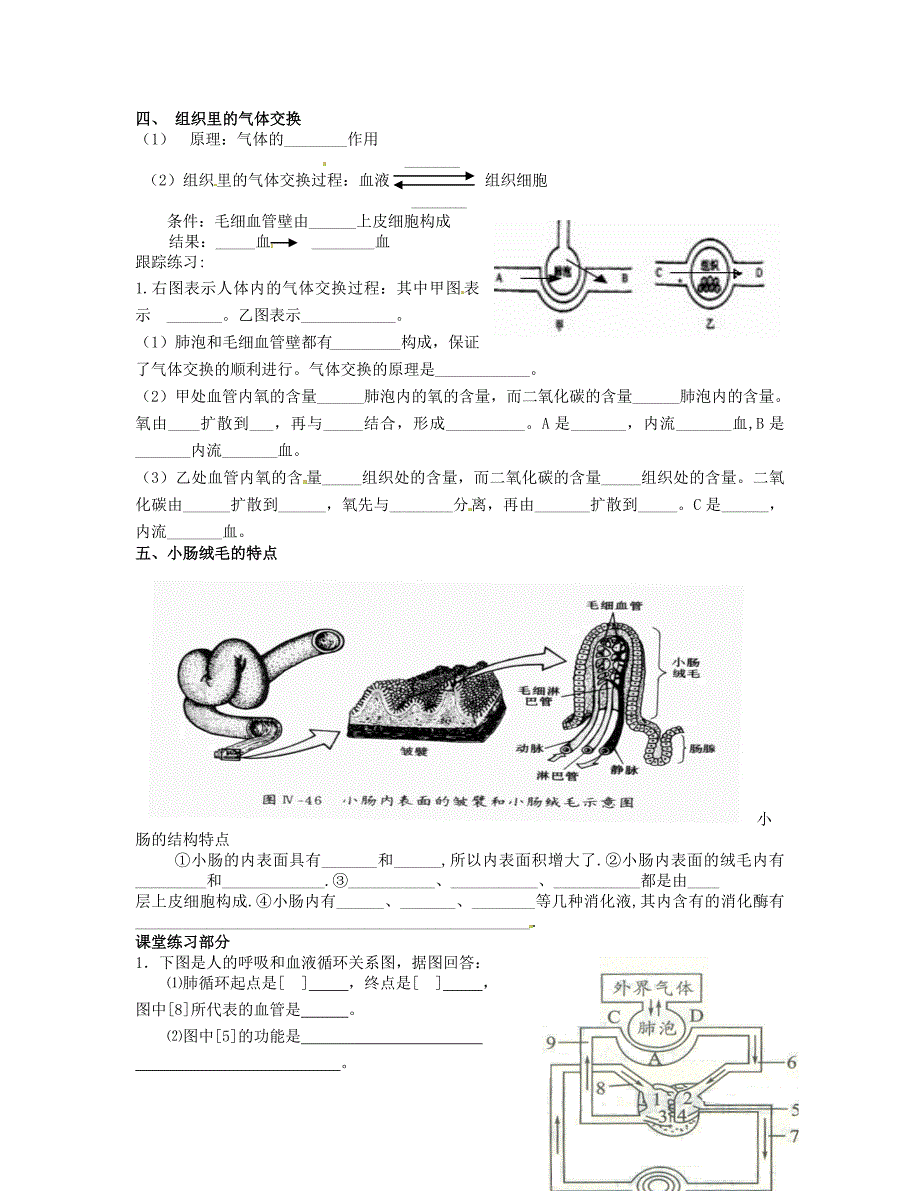 精选类内蒙古鄂尔多斯市东胜区培正中学七年级生物下册血液循环巩固练习无答案新人教版_第2页