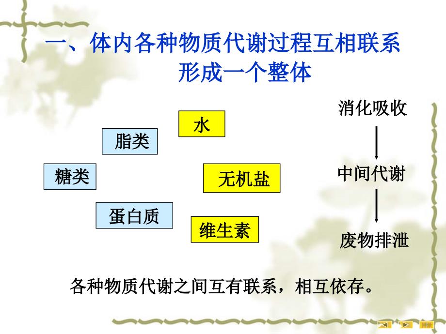 9第九章物质代谢的联系与调节_第3页