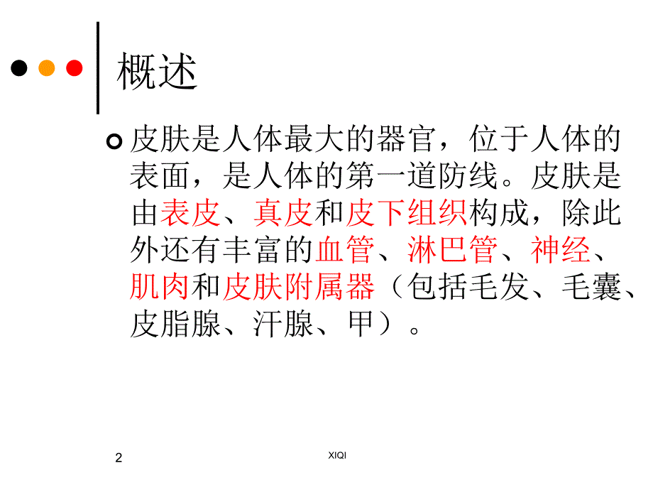 皮肤的解剖和组织结构学习课件_第2页