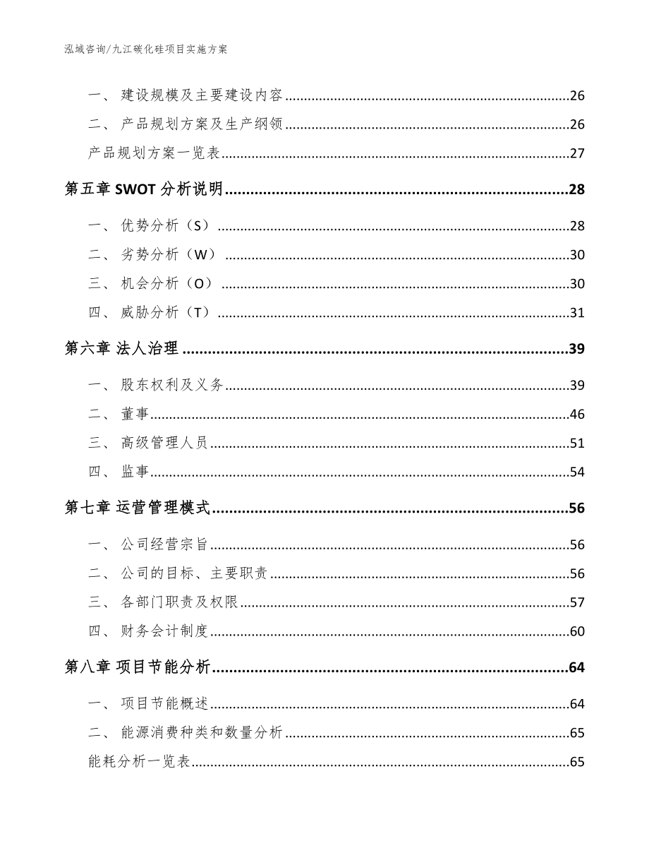 九江碳化硅项目实施方案_第2页