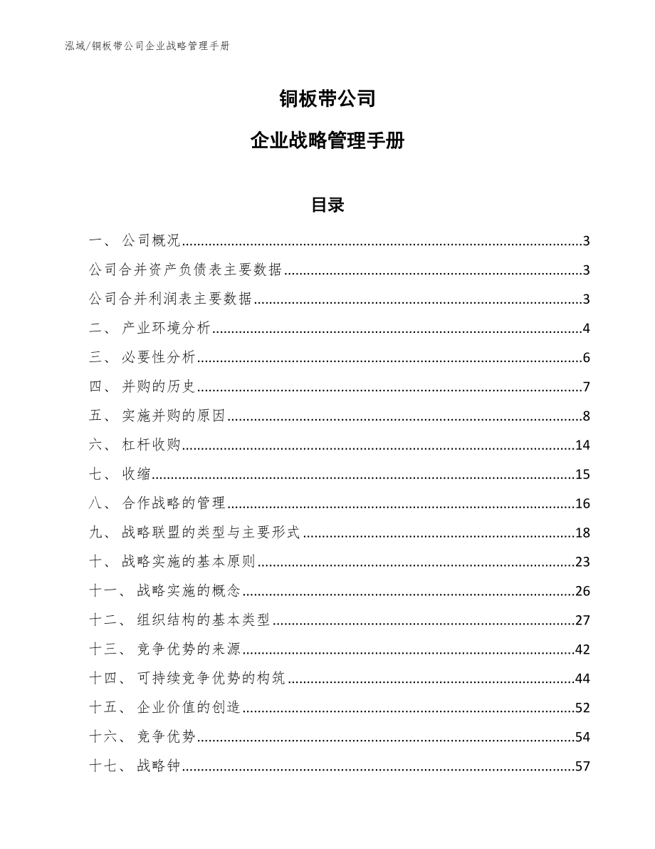 铜板带公司企业战略管理手册_第1页