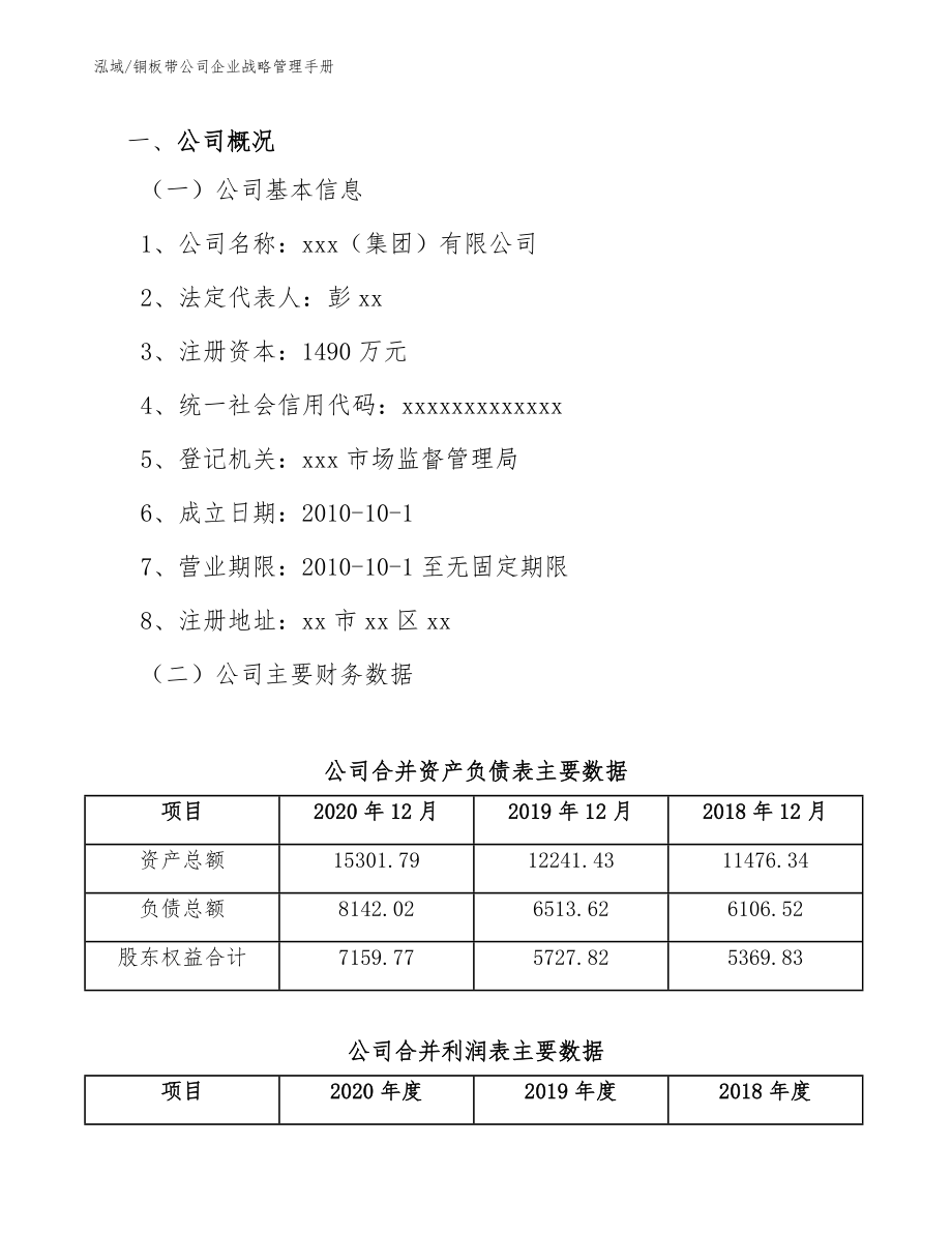 铜板带公司企业战略管理手册_第3页