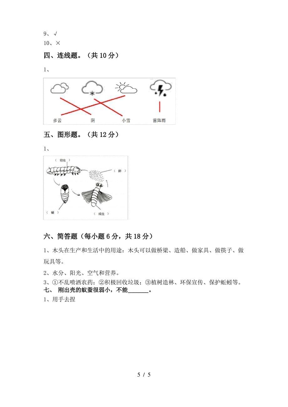 苏教版三年级科学(上册)期中必考题及答案_第5页