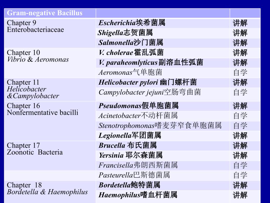 病原生物学英文版课件：Gram negative bacilli_第2页