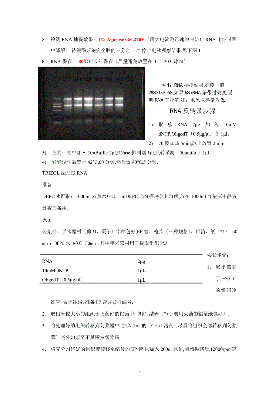 RNA抽提与反转录步骤x_第2页