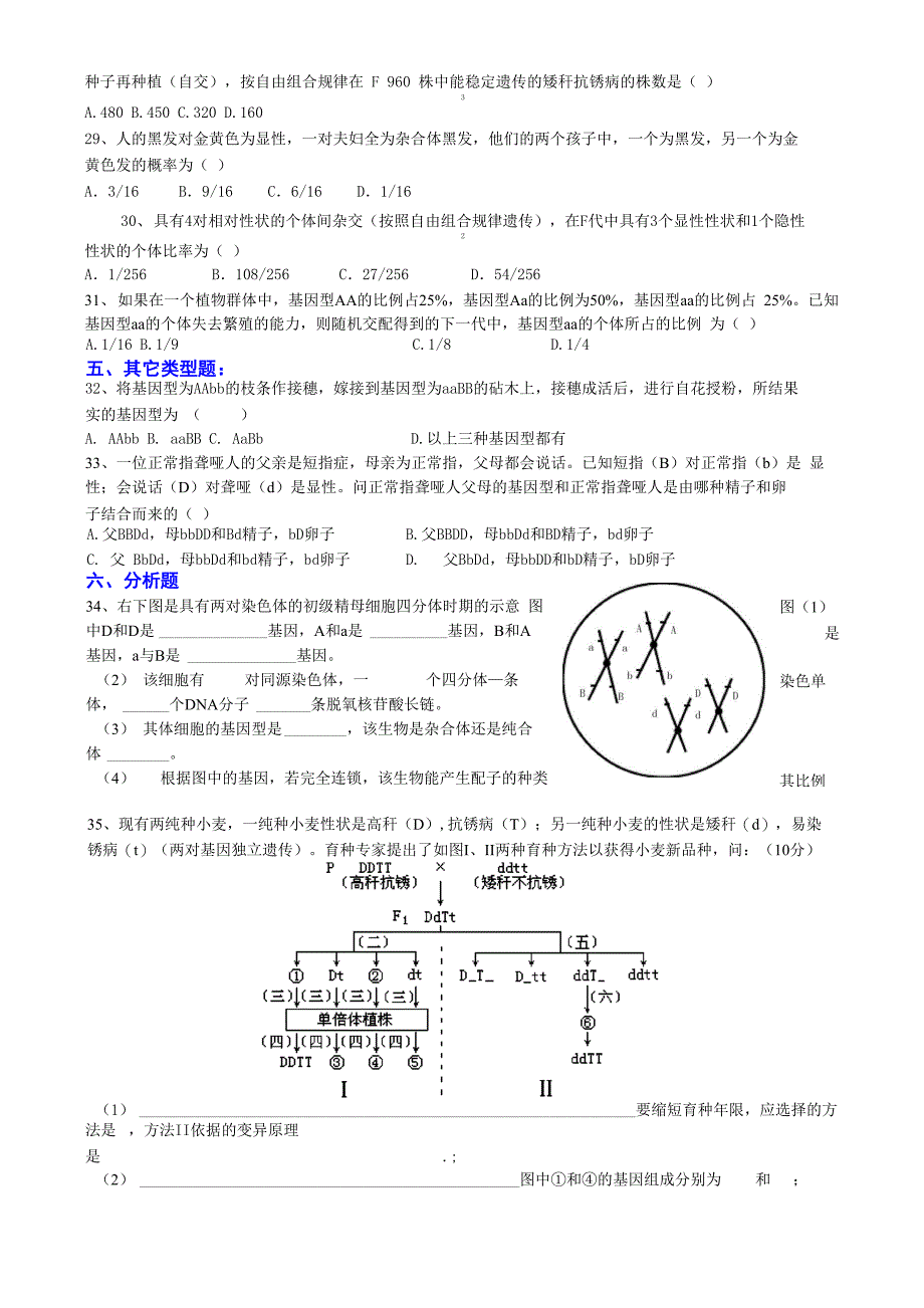 遗传的基本定律_第4页