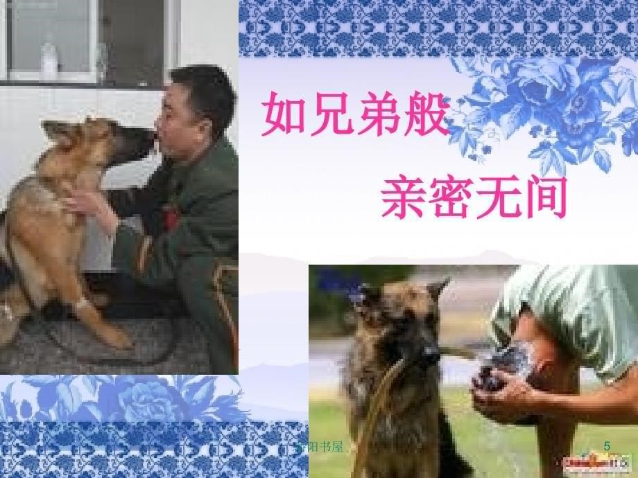 军犬黑子ppt课件课资资源_第5页