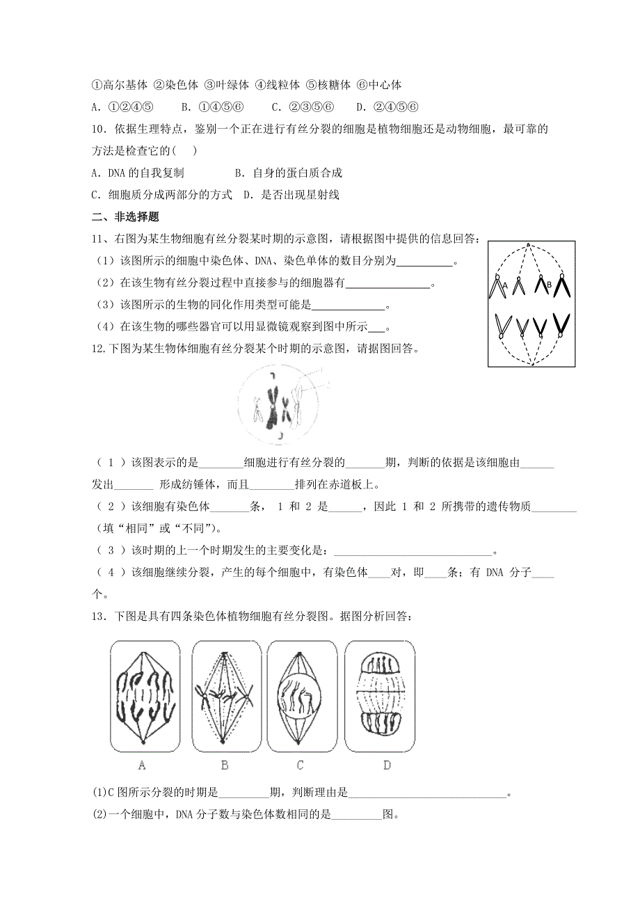 高中生物 5.1《细胞增殖》测试（2）苏教版必修1_第2页