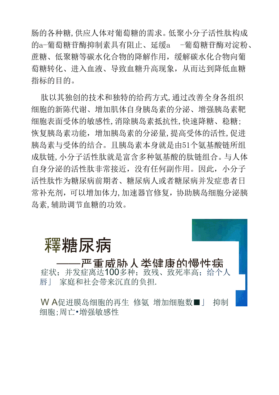 小分子肽对糖尿病的改善作用_第2页