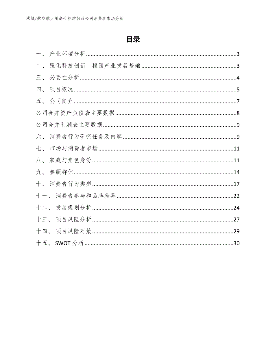 航空航天用高性能纺织品公司消费者市场分析【范文】_第2页