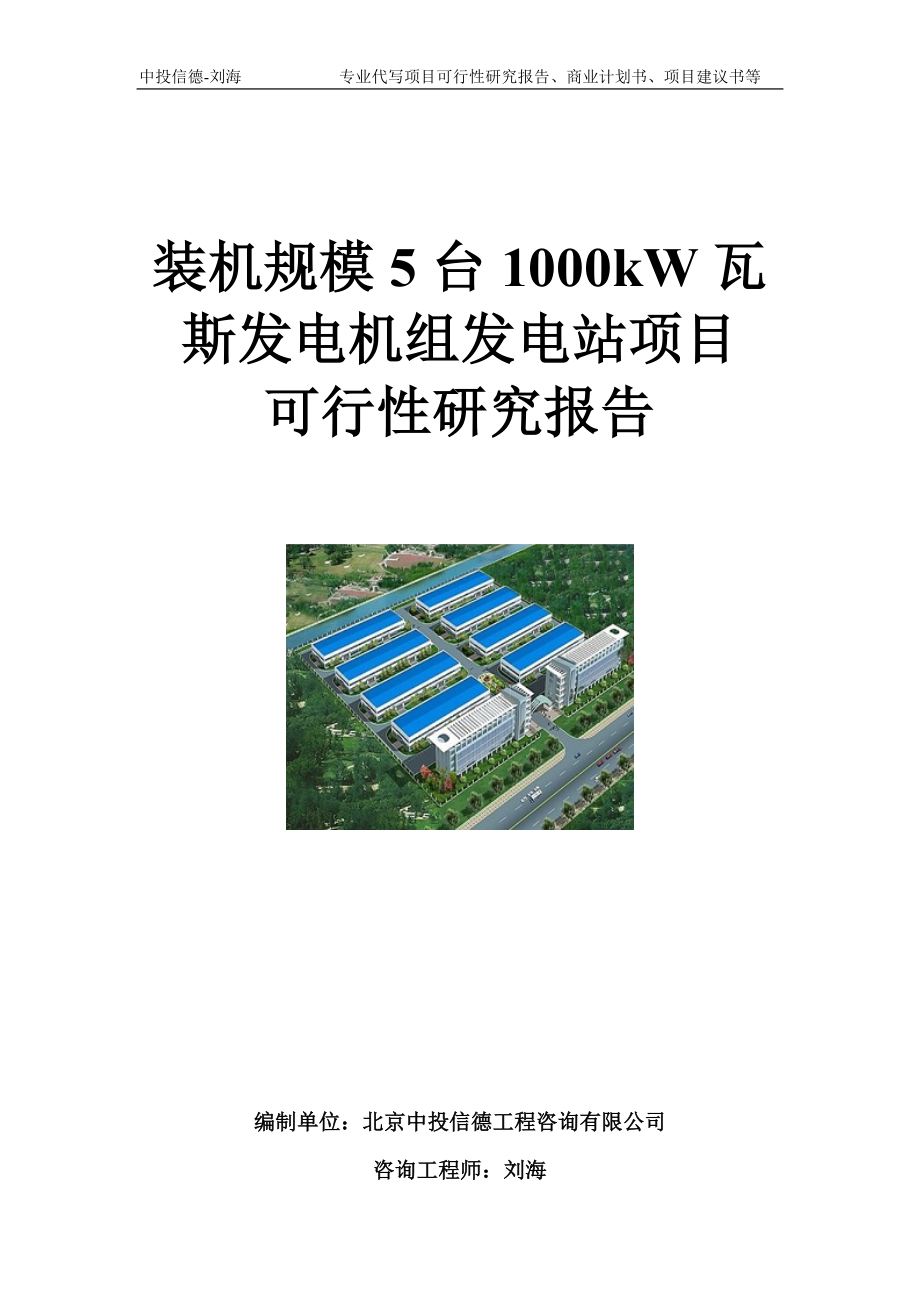 装机规模5台1000kW瓦斯发电机组发电站项目可行性研究报告模板_第1页