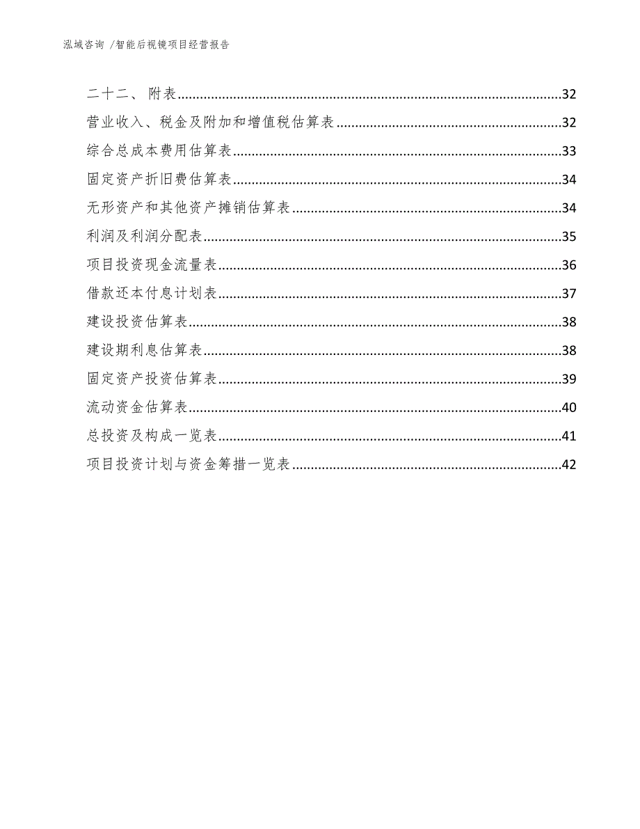 智能后视镜项目经营报告-模板参考_第3页