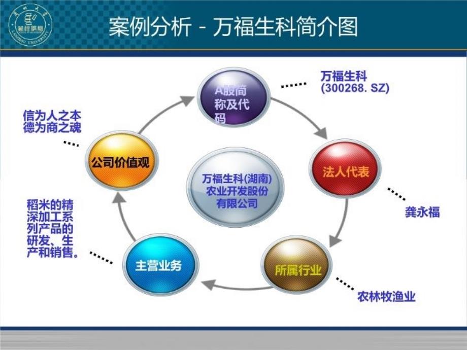 万福生科财务造假案例分析教学文案_第3页