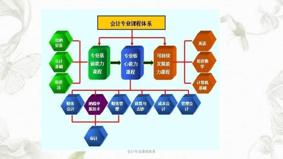 会计专业课程体系ppt课件_第5页