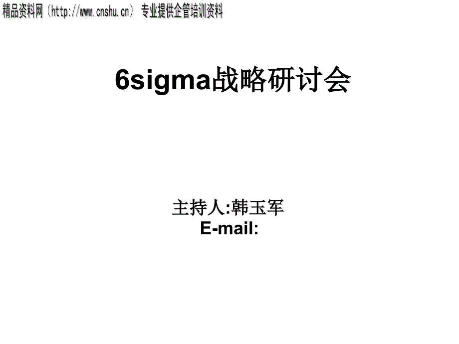 某咨询公司6sigma战略研讨会1_第1页