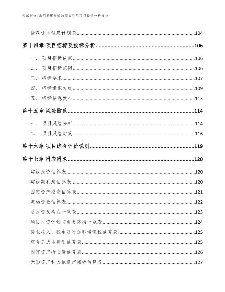 山阴县煤炭清洁高效利用项目投资分析报告_第5页