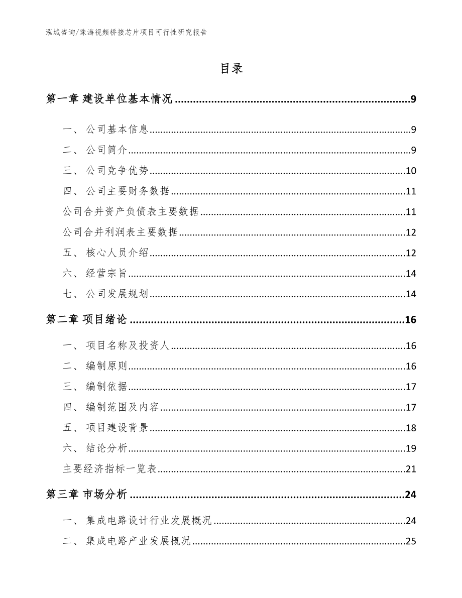 珠海视频桥接芯片项目可行性研究报告_第2页