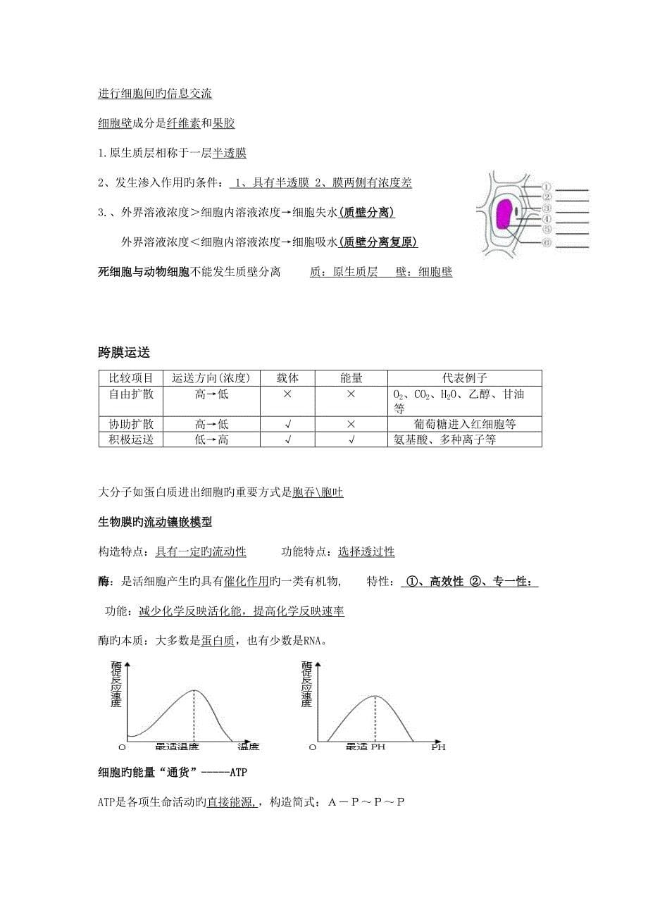 2022高中生物会考复习知识点精选_第5页