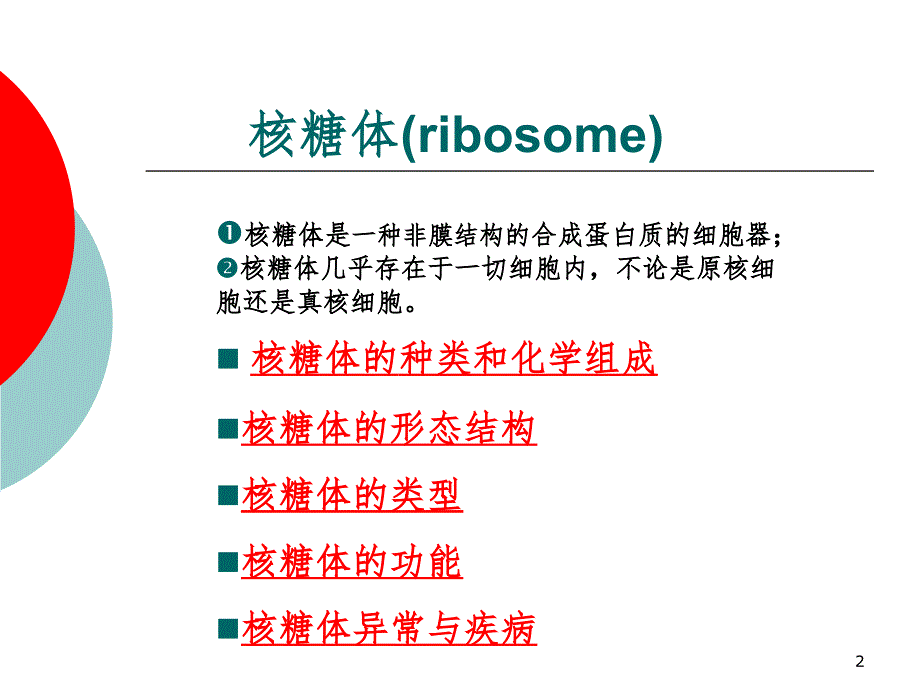 核糖体ribosomePPT课件_第2页