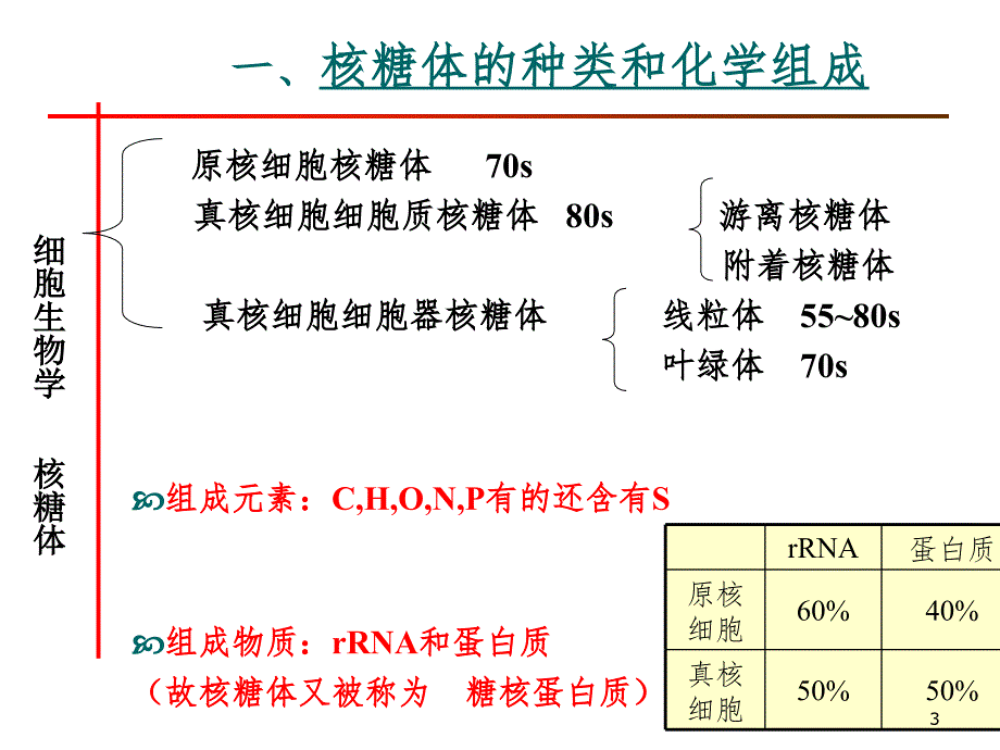 核糖体ribosomePPT课件_第3页