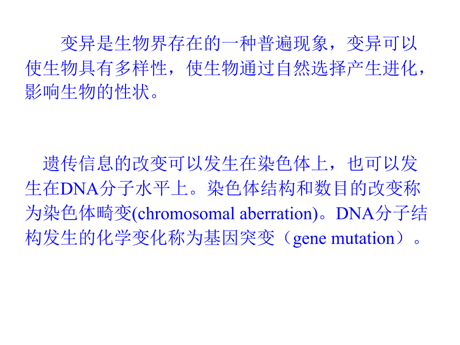 最新动物遗传学遗传信息的改变幻灯片_第2页