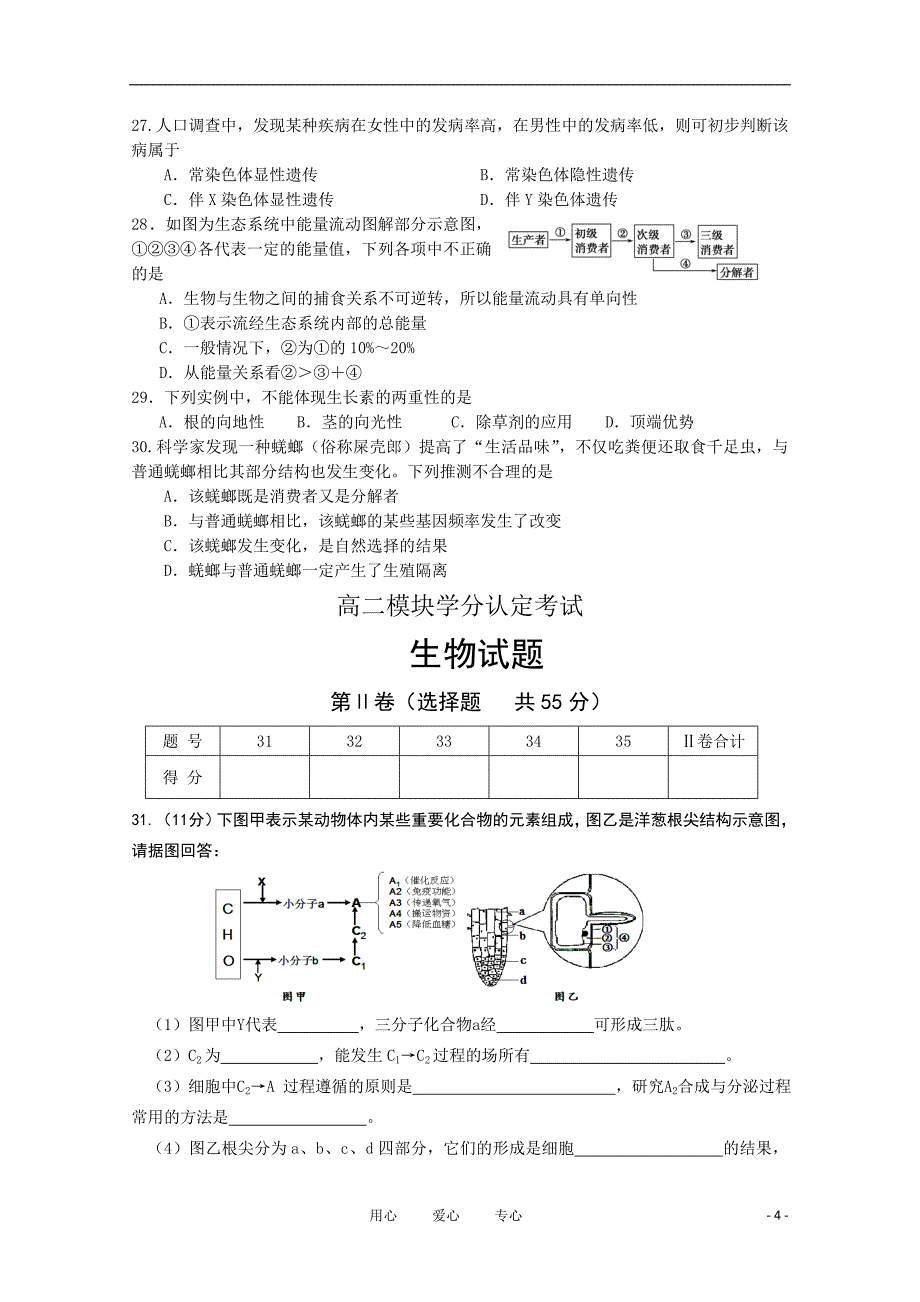 山东省潍坊市三县1011高二生物下学期期末联合考试新人教版_第4页