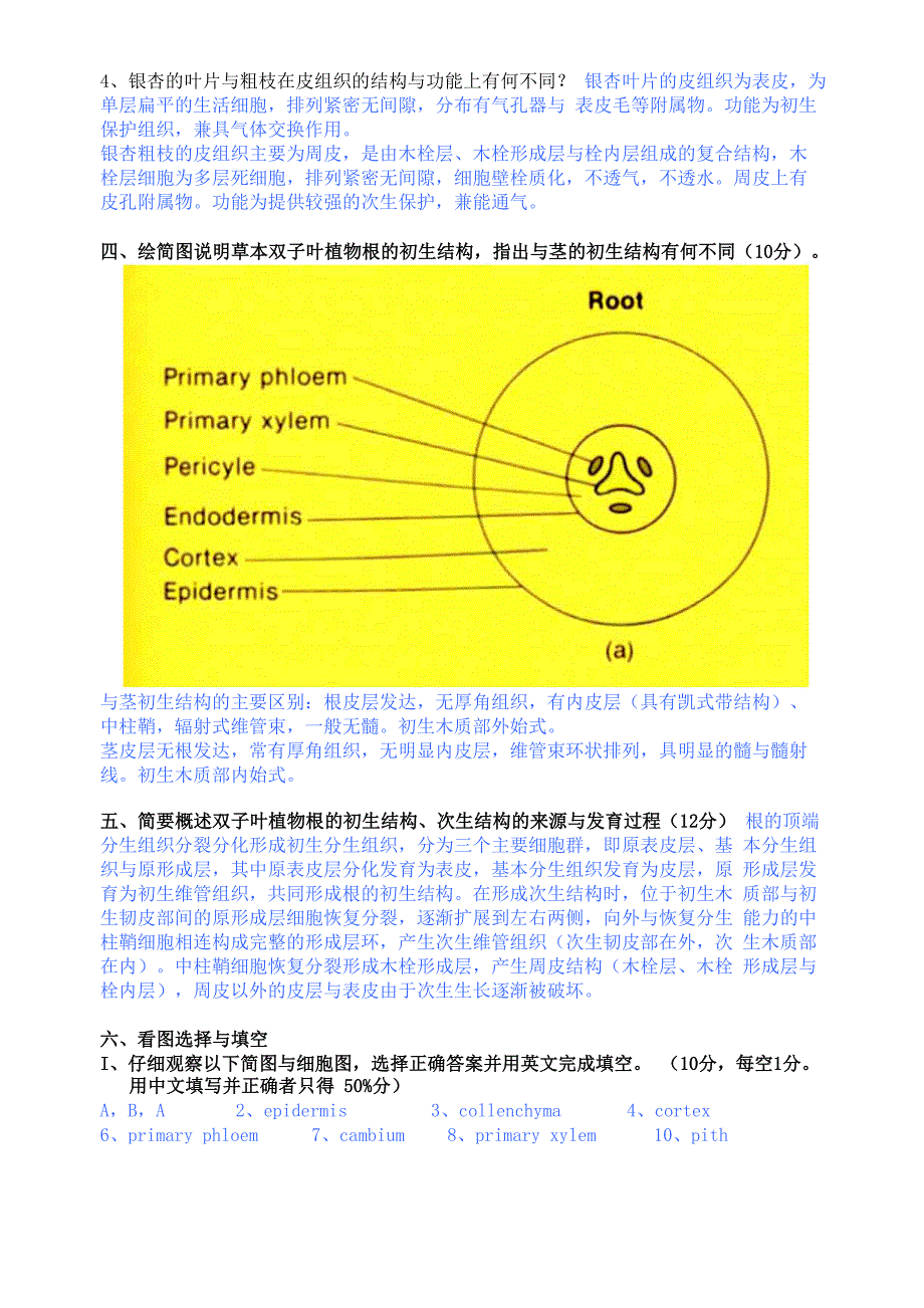 药用植物学试题答案_第2页