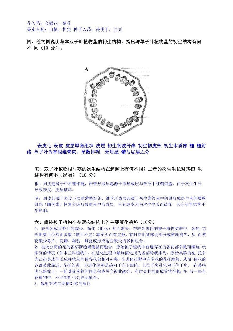 药用植物学试题答案_第5页