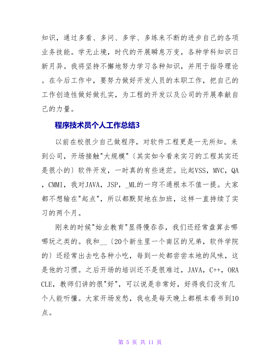 程序技术员个人工作总结.doc_第5页