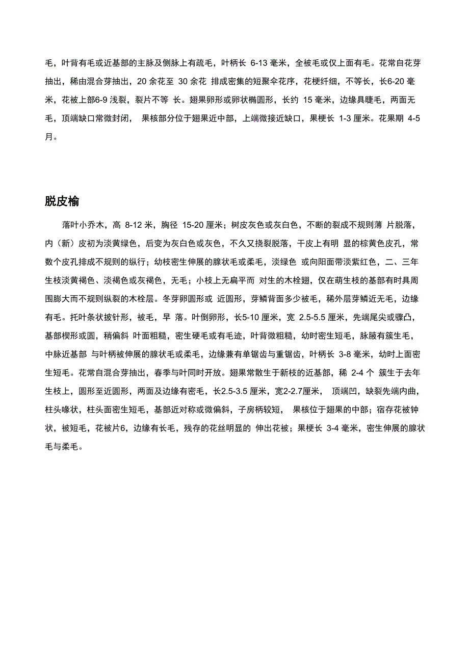 杨树与榆树的种类_第2页