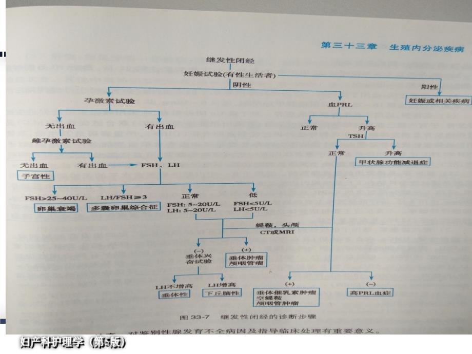 中医妇科学崩漏_第2页