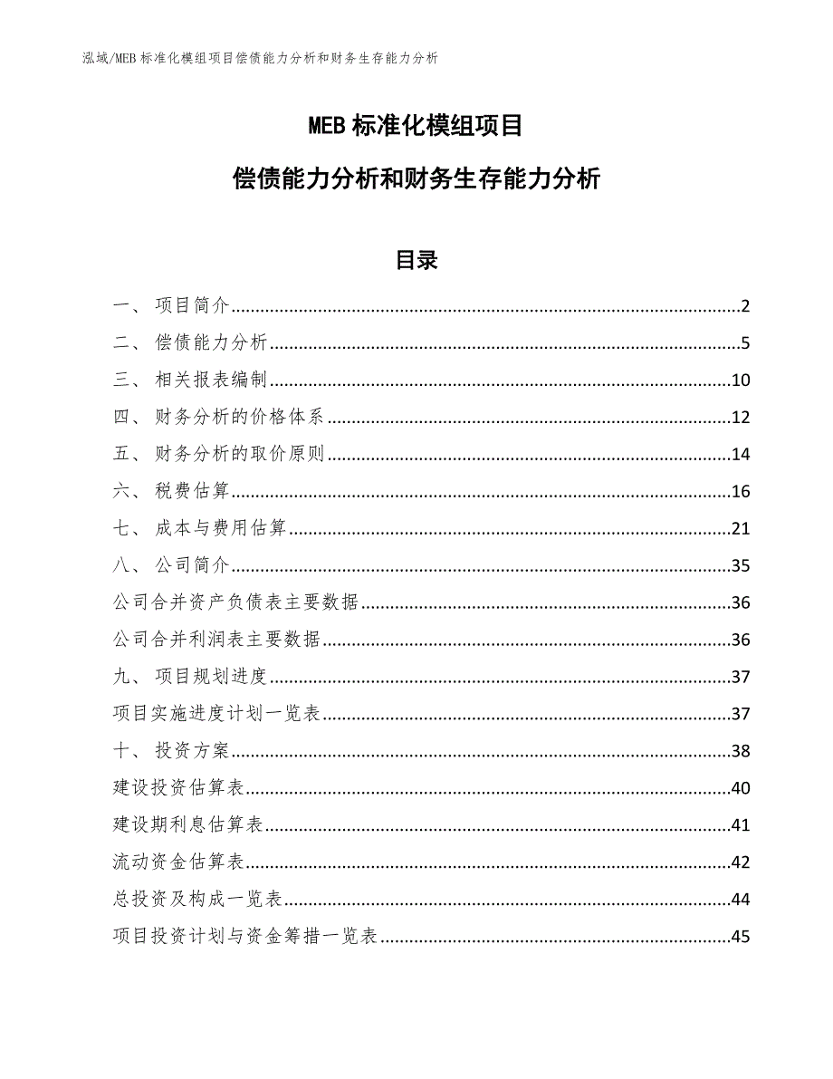 MEB标准化模组项目偿债能力分析和财务生存能力分析_第1页