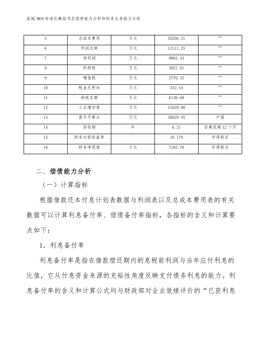 MEB标准化模组项目偿债能力分析和财务生存能力分析_第5页