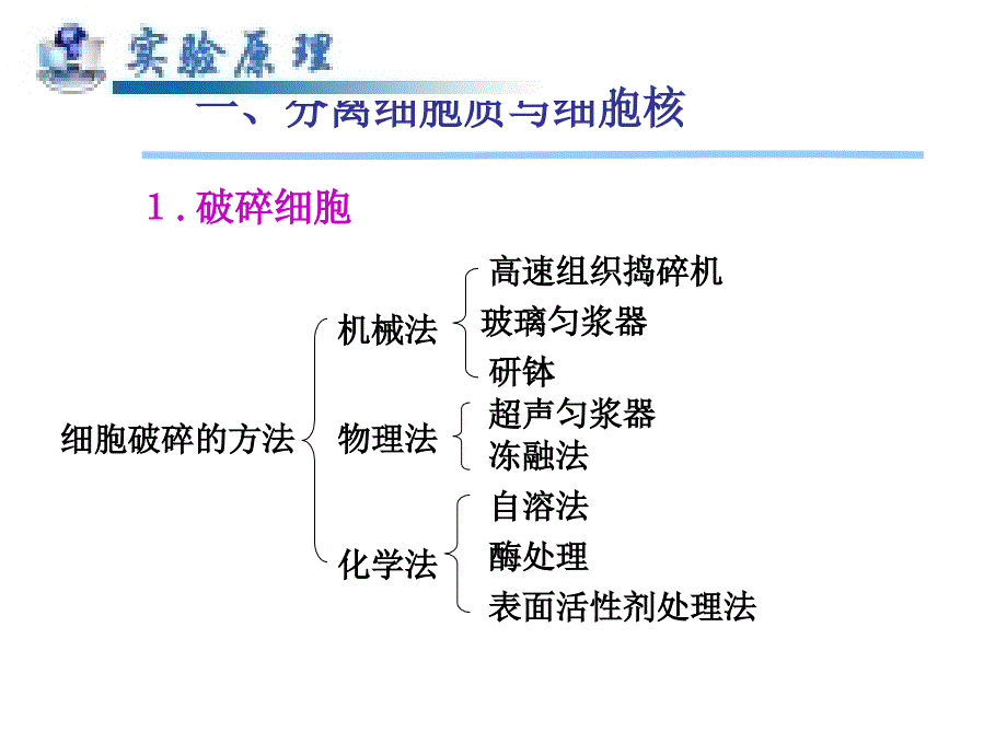 实验六细胞核的分离与核酸的鉴定_第3页