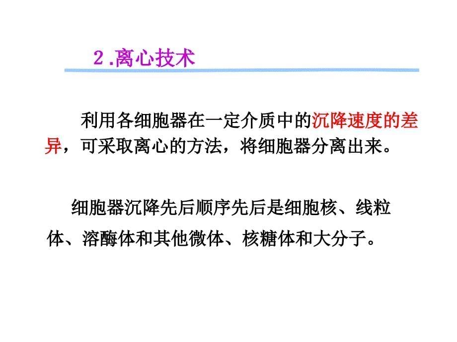 实验六细胞核的分离与核酸的鉴定_第5页