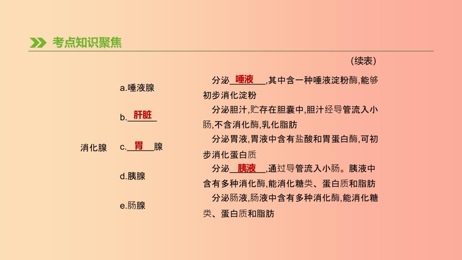 江苏省徐州市2019年中考生物复习 第三单元 生物从环境中获取物质和能量 第07课时 人体对食物的消化和吸收.ppt_第4页