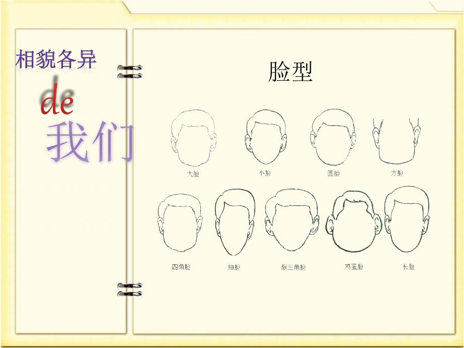 5相貌各异的我们教学课件_第3页