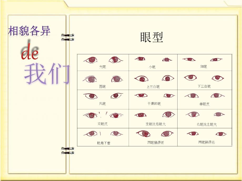 5相貌各异的我们教学课件_第4页