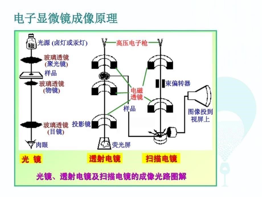 电子显微镜分析及应用_第5页