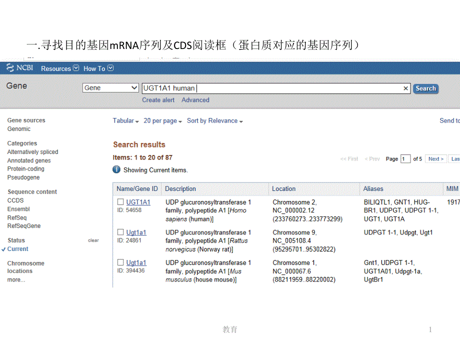 质粒目的基因插入及引物设计流程【稻谷书屋】_第1页