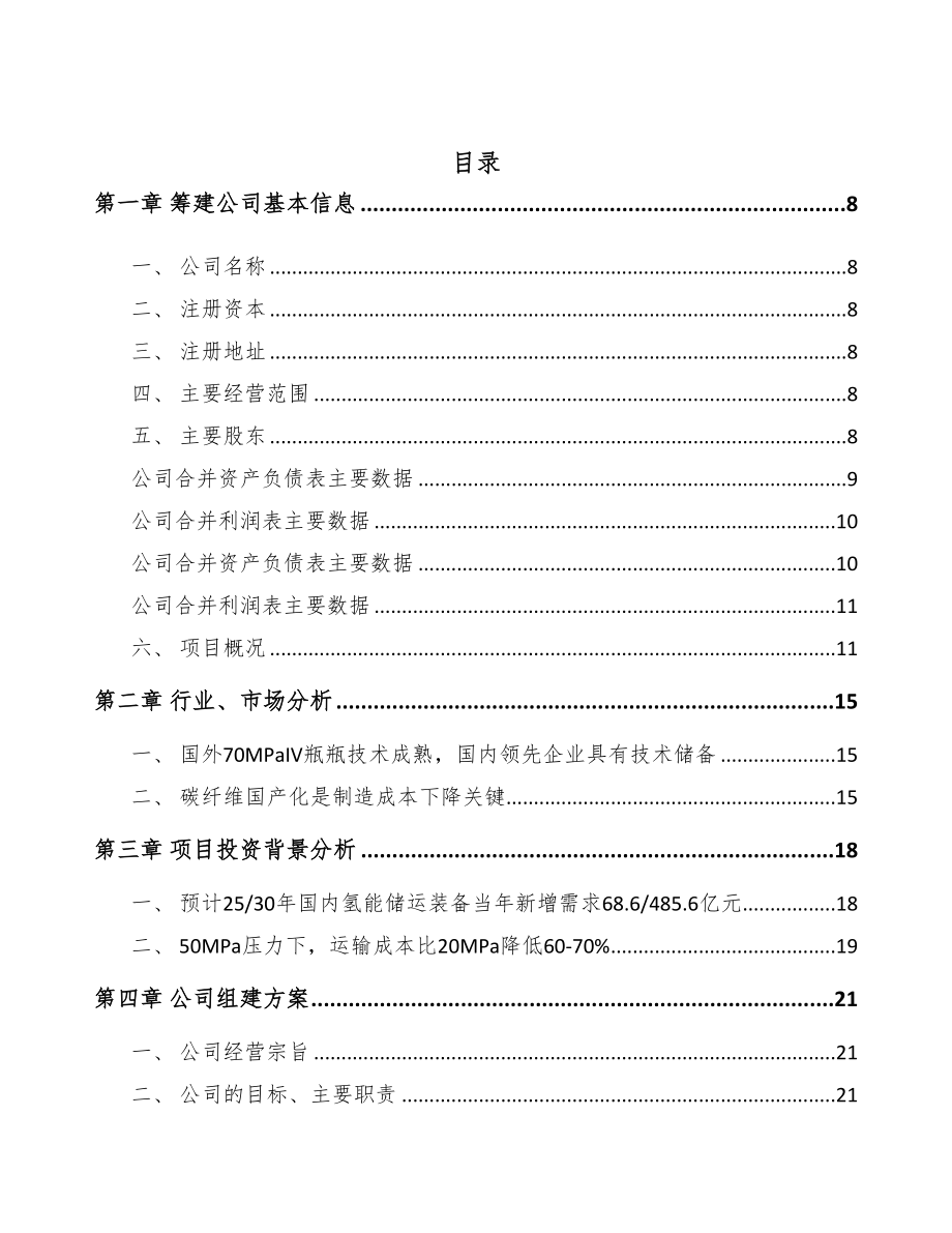 宿迁关于成立氢储运公司可行性报告(DOC 75页)_第2页