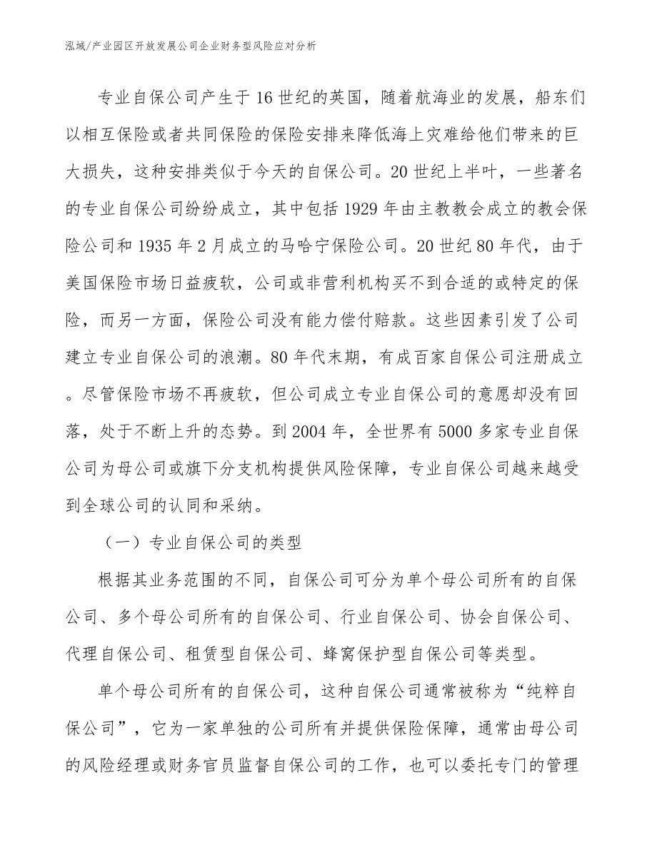 产业园区开放发展公司企业财务型风险应对分析【范文】_第5页