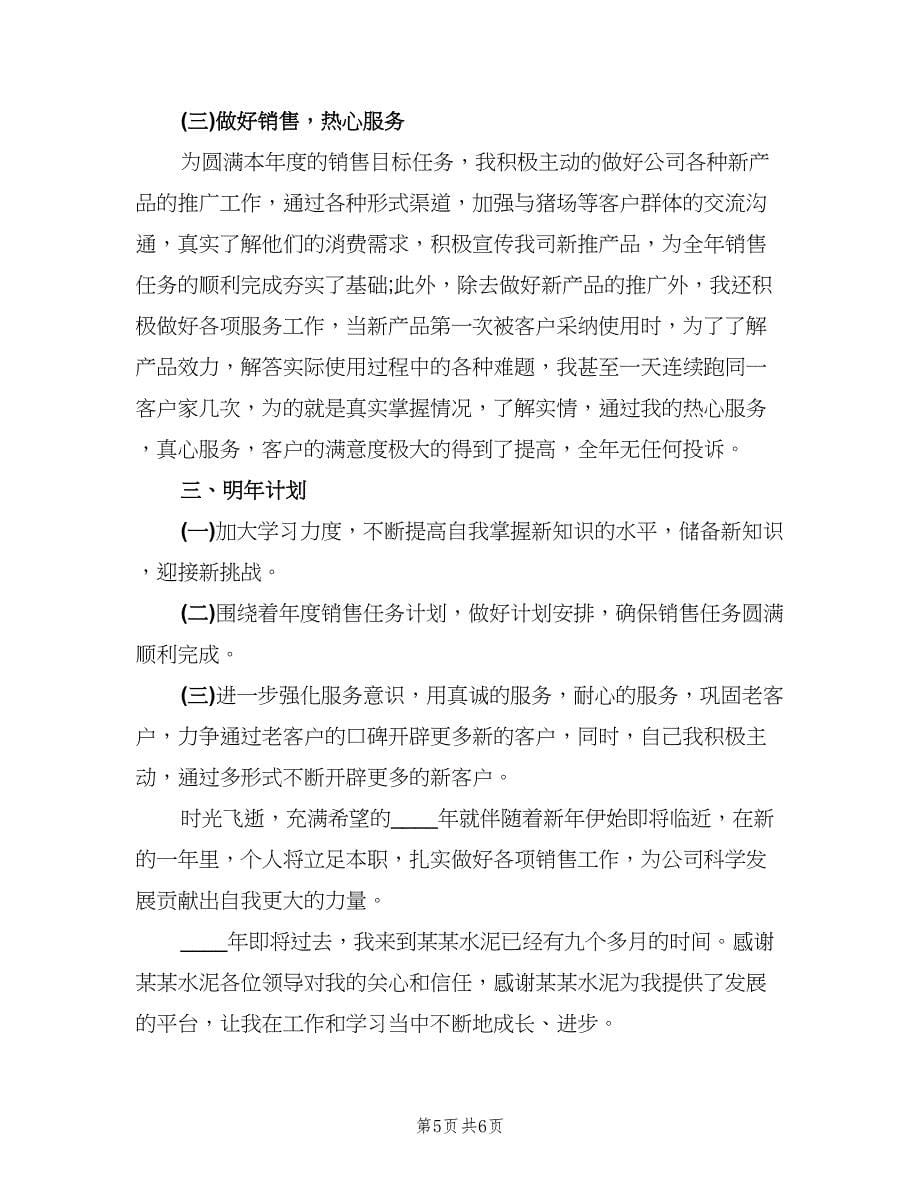 公司销售人员年度工作总结及计划（2篇）.doc_第5页