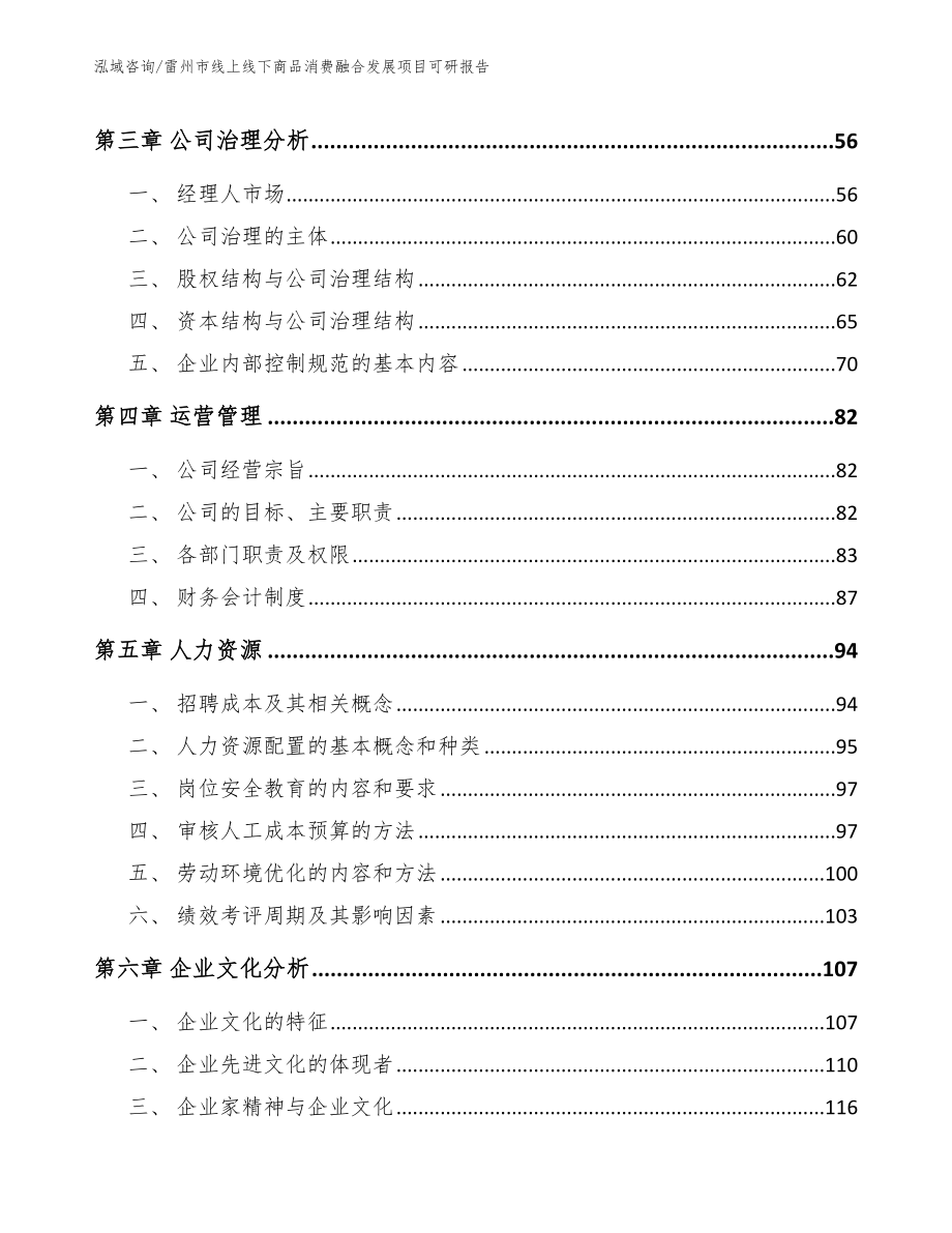 雷州市线上线下商品消费融合发展项目可研报告参考范文_第3页