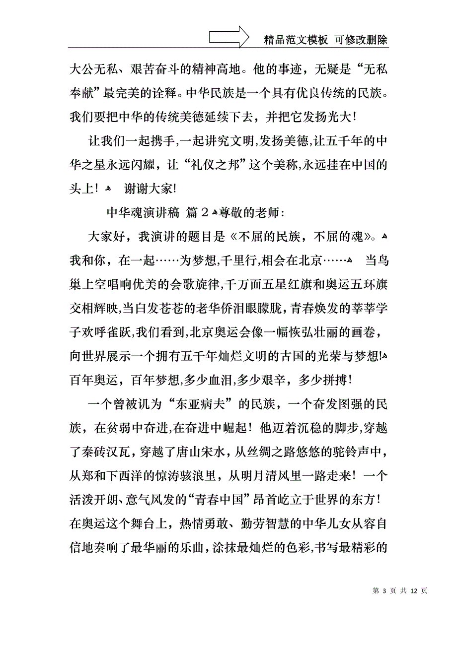 中华魂演讲稿模板六篇_第3页