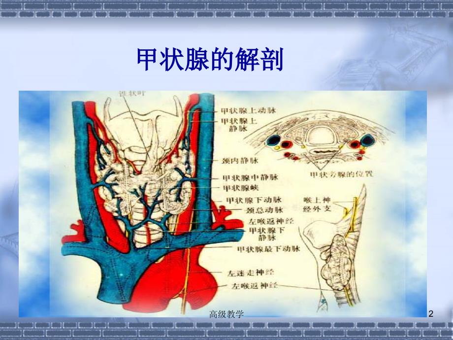 讲课甲状腺B超检查【稻谷书店】_第2页