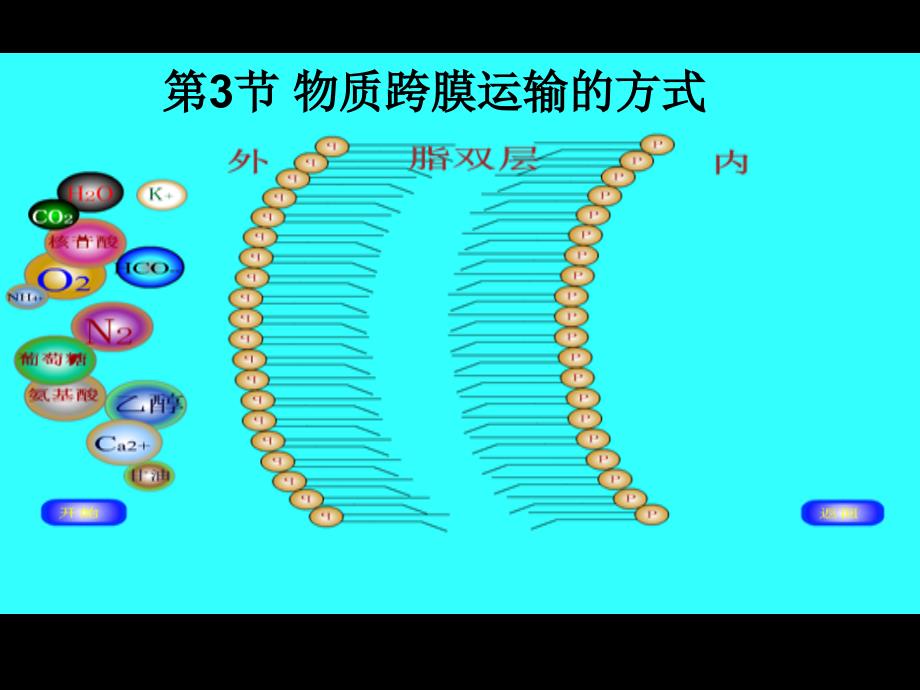 物质跨膜运输的方式_第1页