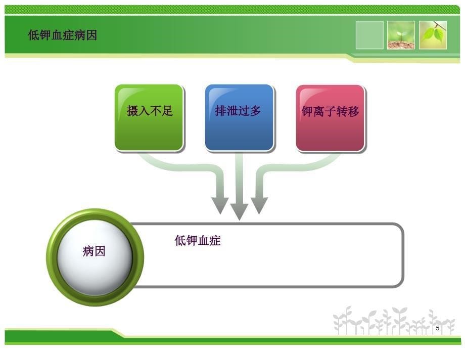 低钾血症的观察及护理ppt课件_第5页