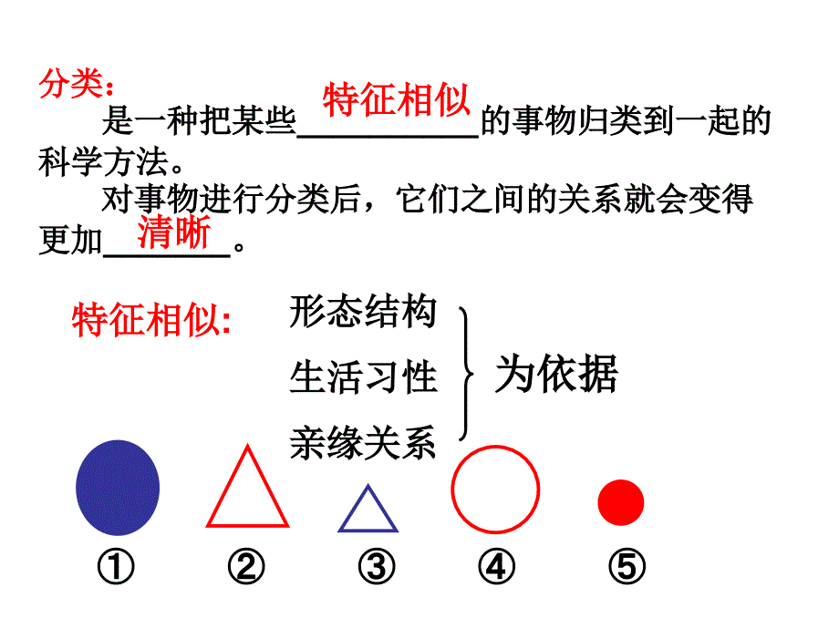 常见的动物脊椎动物_第3页